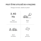 Mini voiture télécommandée cochon pour enfant